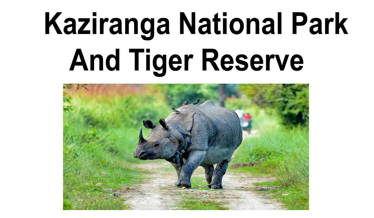 Kaziranga National Park And Tiger Reserve