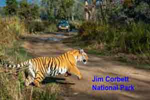 Jim Corbett National Park New Name