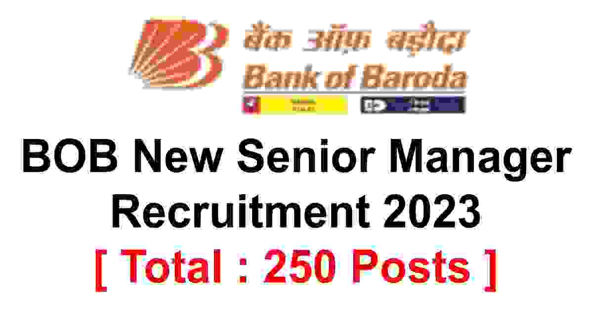 BOB New Senior Manager Recruitment 2023