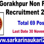 AIIMS Gorakhpur Non Faculty Recruitment 2025 Apply Online